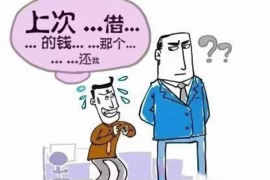 宜昌为什么选择专业追讨公司来处理您的债务纠纷？